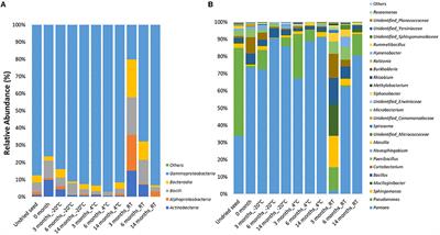 Corrigendum: Implications of Seed Vault Storage Strategies for Conservation of Seed Bacterial Microbiomes